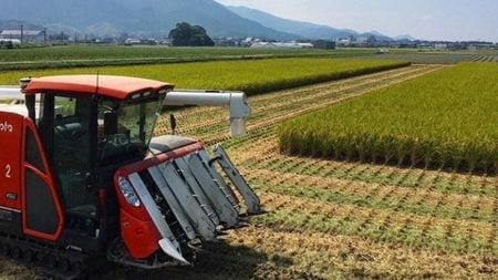 【コメ】JAでも卸売業者のせいでもない｢コメ価格高騰｣の真犯人が判明…現役農家が明かした｢コメが消えた本当の理由｣