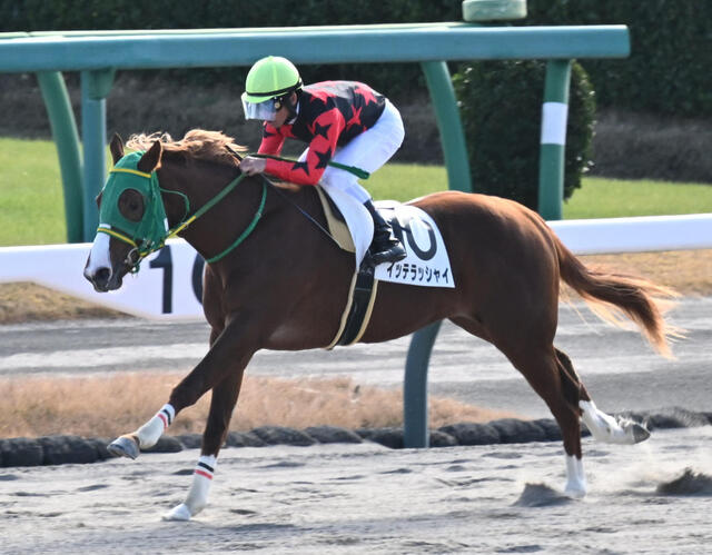 【競馬】堀江貴文氏がイッテラッシャイで所有馬JRA初勝利 「いろいろ大変だった」「まさにリアルダビスタ」