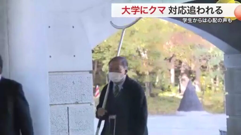 「怖い」宮城大学にクマ出没 学生校内待機　芋煮会場は「熊キャンセル」で打撃　客足３分の１