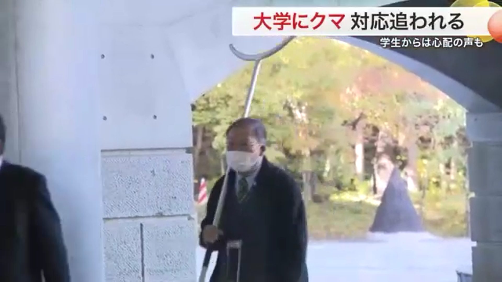 「怖い」宮城大学にクマ出没 学生校内待機　芋煮会場は「熊キャンセル」で打撃　客足３分の１