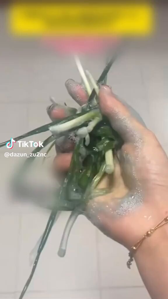 【中国やばすぎ】中国産ネギは、腎臓や肝臓に障害を与える硫酸銅で着色！！しかも、毎年4万トン以上日本で輸入している模様