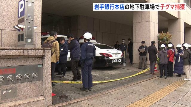 【悲報】岩手銀行本店地下駐車場にクマが侵入し現在立てこもり中!!!
