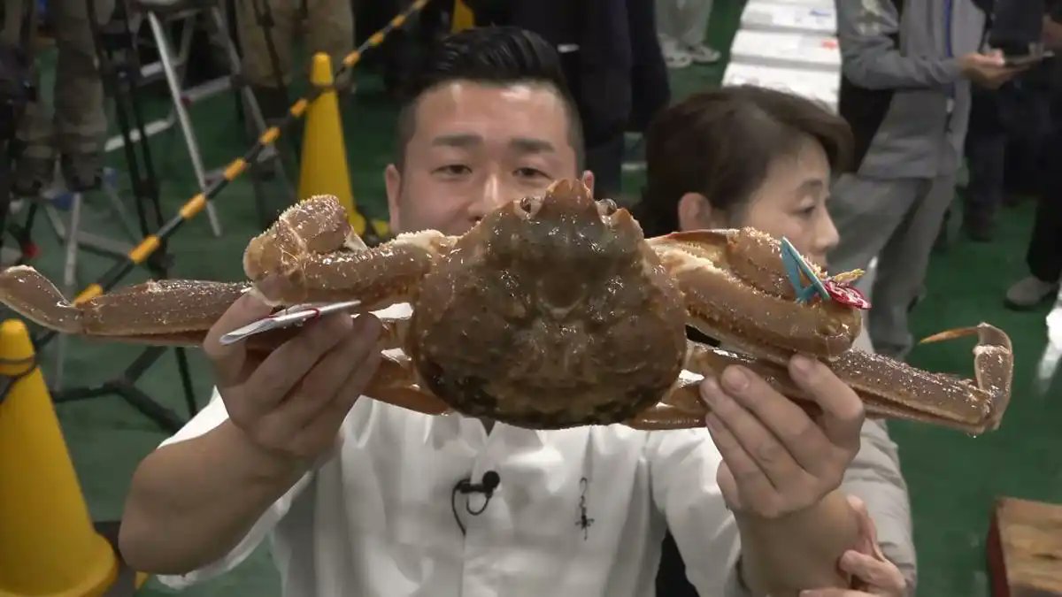 Nスペ：6万匹にわずか1匹！？　500万円の“幻のカニ”を求めて　能登半島の漁師たちの再起の物語　“超大物”は誰の手に