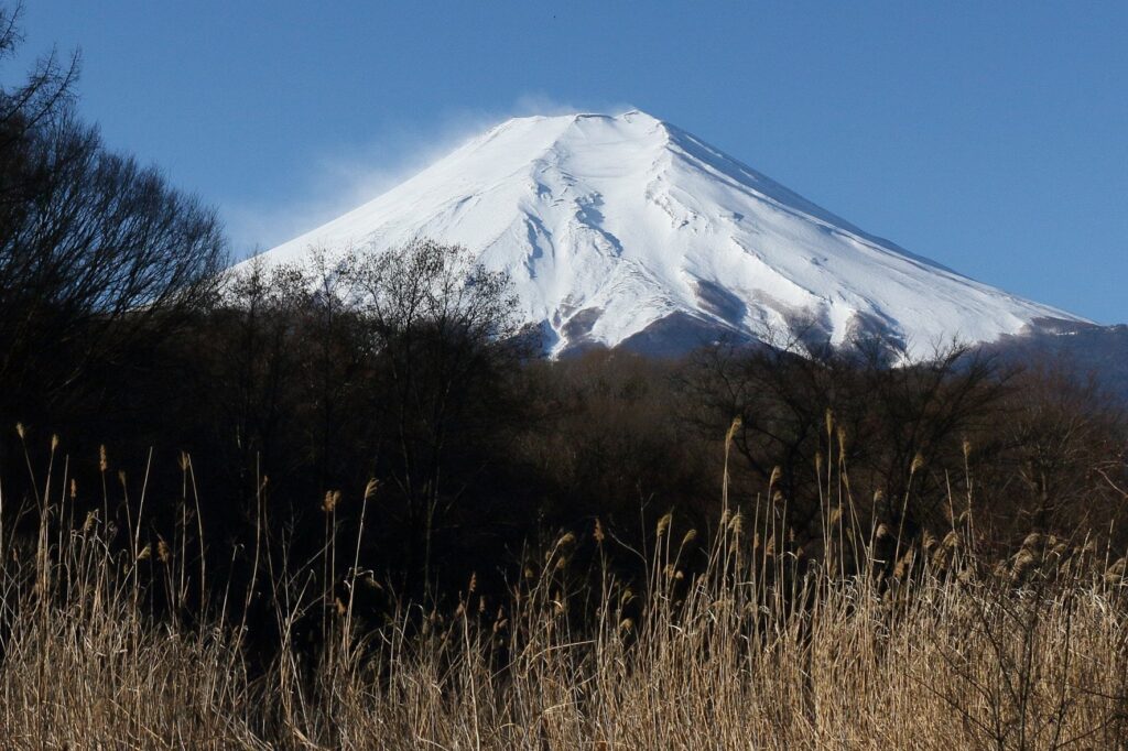 【環境NPO】富士山麓に「尿入りペットボトル」ゴロゴロ投棄の大問題　「強烈なアンモニア臭」と清掃ボランティアの苦労