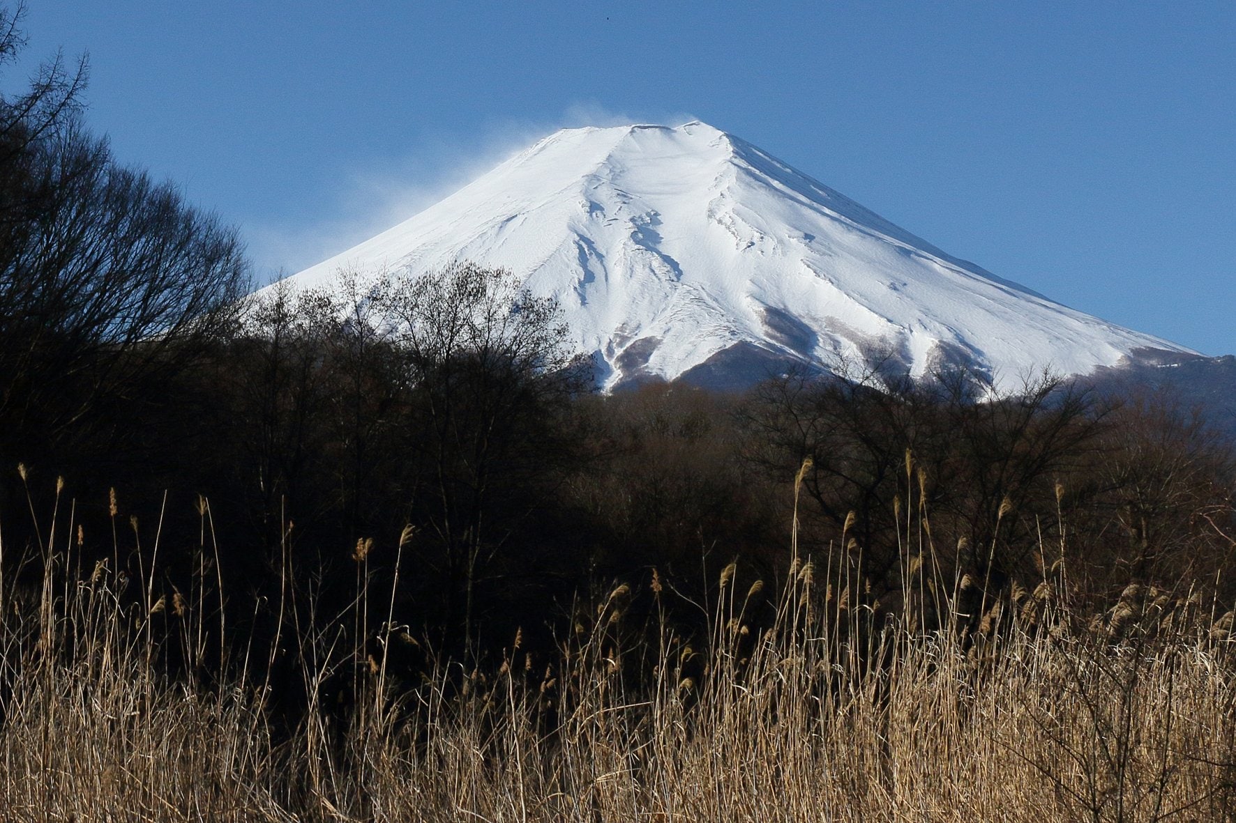 【環境NPO】富士山麓に「尿入りペットボトル」ゴロゴロ投棄の大問題　「強烈なアンモニア臭」と清掃ボランティアの苦労