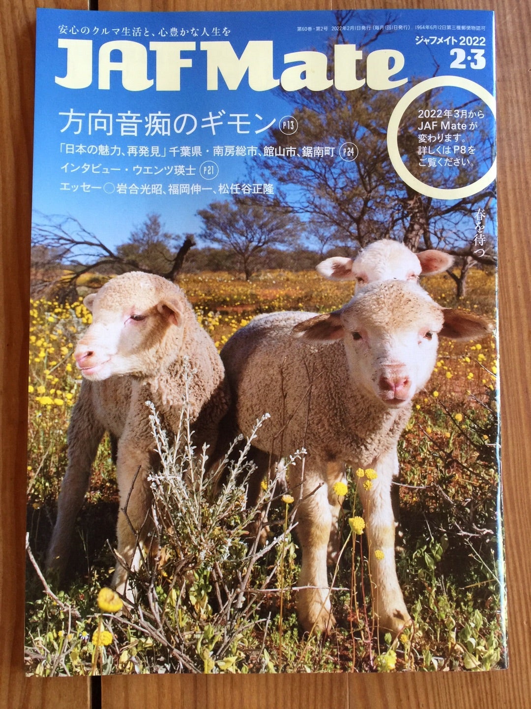 （社）日本自動車連盟（JAF）の機関紙　『JAF Mate』の表紙が毎号かわいすぎて悶絶