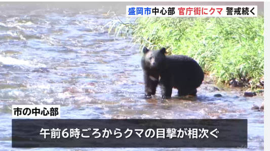 【（・(ｪ)・）】盛岡市役所近くにクマ、岩手県庁やマンション、商店、学校などが立ち並ぶ繁華街が騒然　河川敷や川を逃げ回り、姿消す