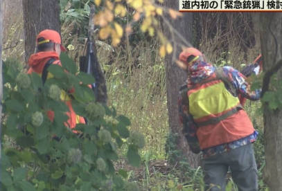 子供ヒグマ殺戮ショーを見ようと札幌市民が殺到、射殺中止に😇
