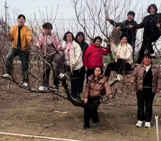 【中国人】この行動起こせる神経が分からない
