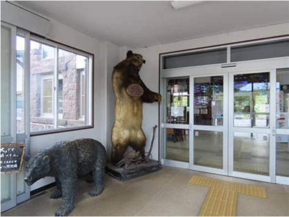 北海道の無人駅、ヒグマ駅長が改札、無賃乗車を厳しく取り締まり