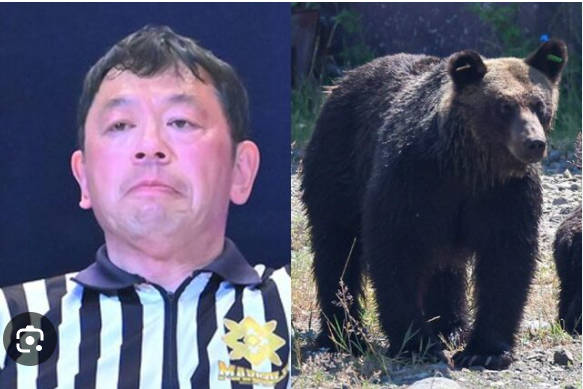 【(・(ェ)・)】温泉従業員襲撃のクマ、駆除された個体と同一と確認 DNA鑑定で断定 岩手県北上市