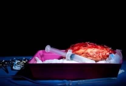 【話題】臓器移植で150歳まで生きられる?習氏・プーチン氏の会話で注目。テレビ局のマイクが偶然拾ったオフレコの会話が世界中で話題に