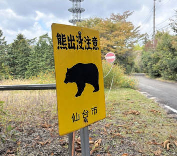 【´・(ェ)・`) ヤンヤンヤヤーン】八木山テラスで熊出没 「公園内を歩いている」  仙台