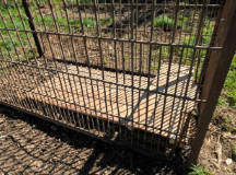 【（・(ｪ)・）】積丹町議の対応「心外」　クマ駆除巡り北海道猟友会会長　町の仲介求める　箱わなはえさを入れないまま放置状態続く