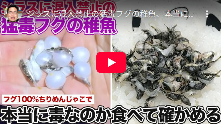 YouTuber「フグ、丸ごと食べてみた」