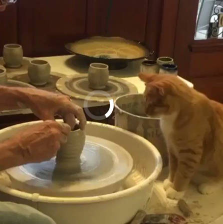 【ほのぼの】猫師匠によって、最後に手が加えられた陶器（AIではないです）