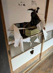 【（・(ｪ)・）】クマは旅館の "床下の隙間" から入り込んだか　調理場や和室など荒らした末に緊急銃猟で駆除　山形・米沢市