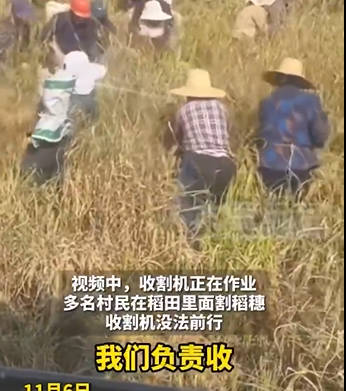 中国の農民が他人の田畑を集団で略奪行為。王朝末期によく見られた光景と話題に