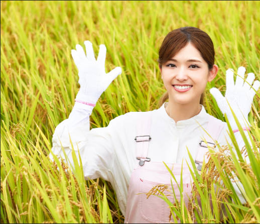 日本人の米離れ