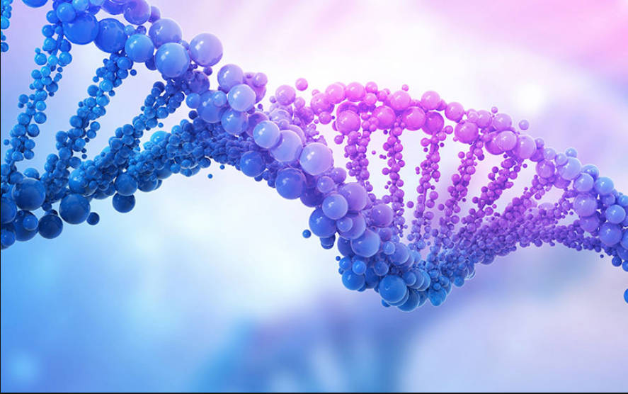 【衝撃映像】脱毛症など引き起こす遺伝子変異を発見 患者の症状改善に成功。完禿が激フッサフサに