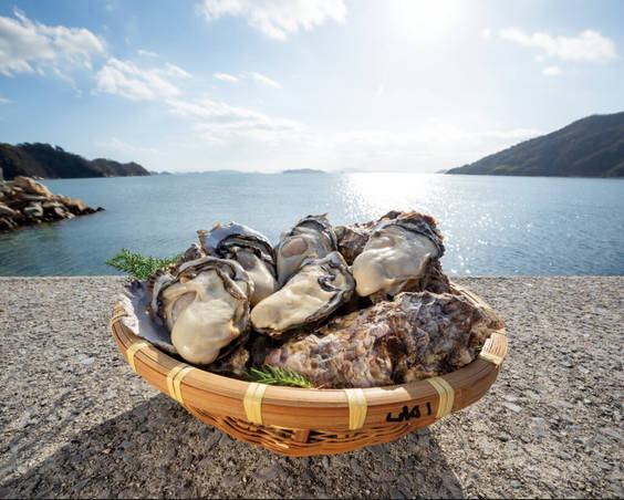 広島全域で牡蠣全滅、地球温暖化による海水温上昇が原因と推定、これもう無理なのでは？