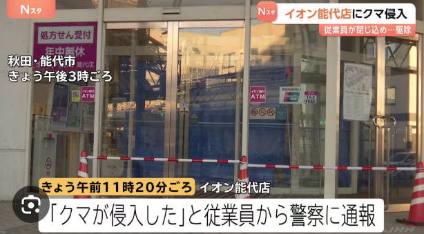 【´･(ｪ)･｀)ｼﾞｬｽｺで万引き】能代市の商業施設にクマ1頭侵入　クマは捕獲