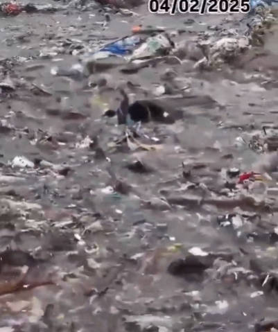 【報道しない自由】中国は、世界最悪の海洋ごみ排出量で1位にランクされており、世界の海洋廃棄物の4分の1を投棄