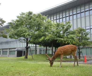 安倍氏銃撃公判で奈良地裁、裁判員1人を解任