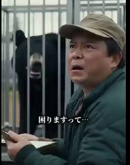 クマ保護団体「本当にクマを連れてこられても困ります・・・・」