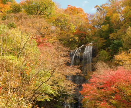 【愛知】紅葉の名所を訪れた10代の男性が「はしか」感染判明　自治体が「症状が出たらすぐ受信」を呼びかけ