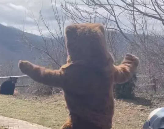 【山形市】13日のクマの目撃　着ぐるみのような服着た人物の可能性