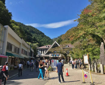標高599mの高尾山「疲れて下山できない」遭難者が多発する"富士山より危険な山"だった…