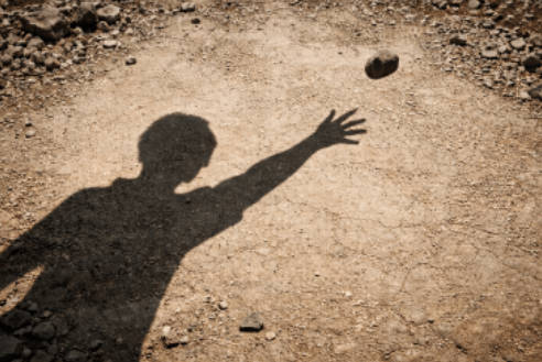 日本の外国人投石事件、実際は日本人と見られる男らが先に挑発＝中共ネット 「感情的判断は…」