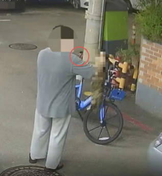 韓国人が安全コーンに猫を閉じ込め殴る蹴る放火で殺害→執行猶予のみ