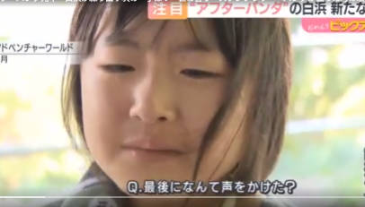 【悲報】パンダの実害、出ていた…    白浜町のバス会社  去年比5割減