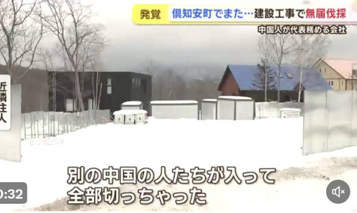 中国人、また勝手に森林伐採