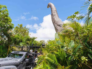 ジャングリア沖縄さん銀行からの融資を拒否されもはや虫の息