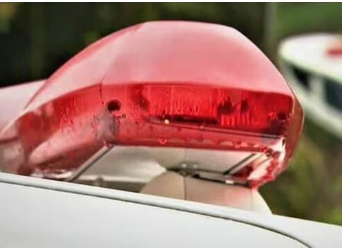 イノシシが飲食店にダイナミック入店、ヒザを噛み逃走