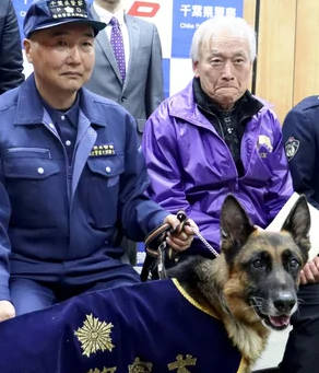 【Uo･ｪ･oU】初出動でお手柄、行方不明の３０代男性を発見した嘱託警察犬に感謝状…飼い主「家では甘えん坊」　千葉