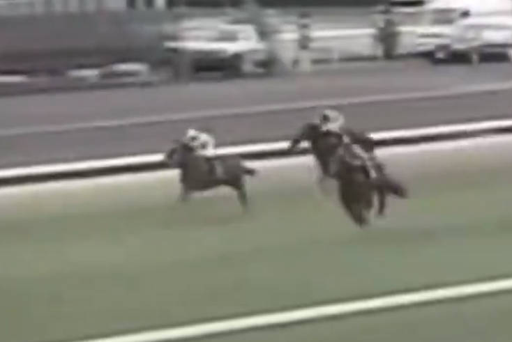 【動画】ディープインパクトの若駒Sでの末脚がレベチ過ぎるw