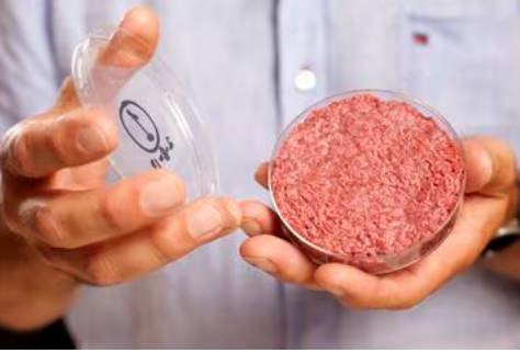 【国際】「培養肉では将来の食料問題は解決できない」　喧伝されるイノベーションの不都合な真実