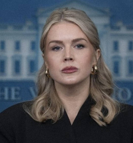 【国際】米国「北極圏で中国とロシア排除のため」　グリーンランド領有狙い説明