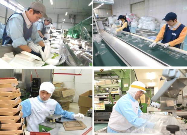 障害者雇用、精神障害者が半数を占める。企業が精神障害者の利点に気が付いたか？