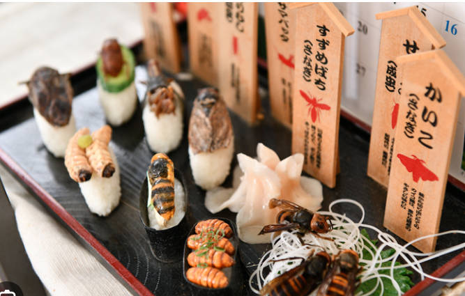 【昆虫食】「昆虫食は美味しくない」説は覆った…オーストラリアの荒野に生息する"スイーツのような虫"の正体