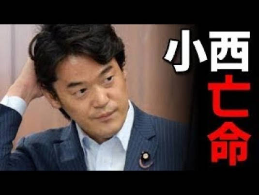 中革連の加入条件「安保法制合憲」小西ひろゆきさん亡命へ