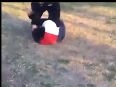 また新しい暴力事件の映像です