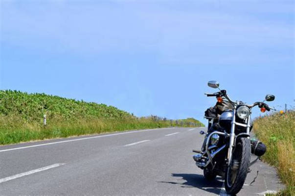 【5ch民】【悲報】バイク、公道で敵が多すぎる