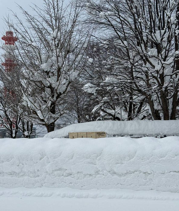 除雪費用減らした張本人らのくせに、ボ〇てんのか？