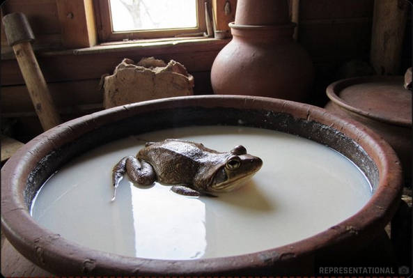 【冷蔵技術がない時代のロシアやフィンランド】牛乳の腐敗を防ぐために「生きたカエルを入れる」という民間療法 →→ 現代科学も認める強力な抗菌メカニズムが隠されていました