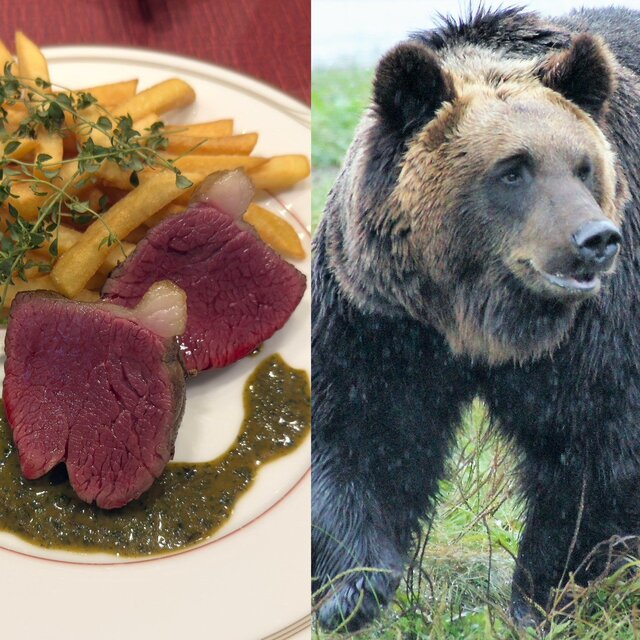 【SNS】ツキノワグマ串が大バズり 「駆除して食べる」は対策になるのか？　青森の販売元が語った“本当の課題”